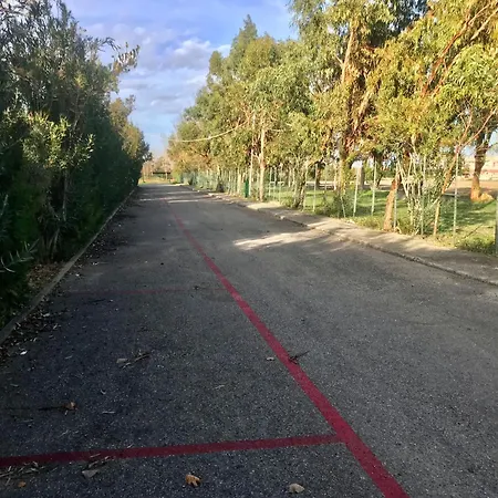 Aparthotel Vacanze A Rossano