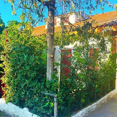 Vacanze A 3* Rossano